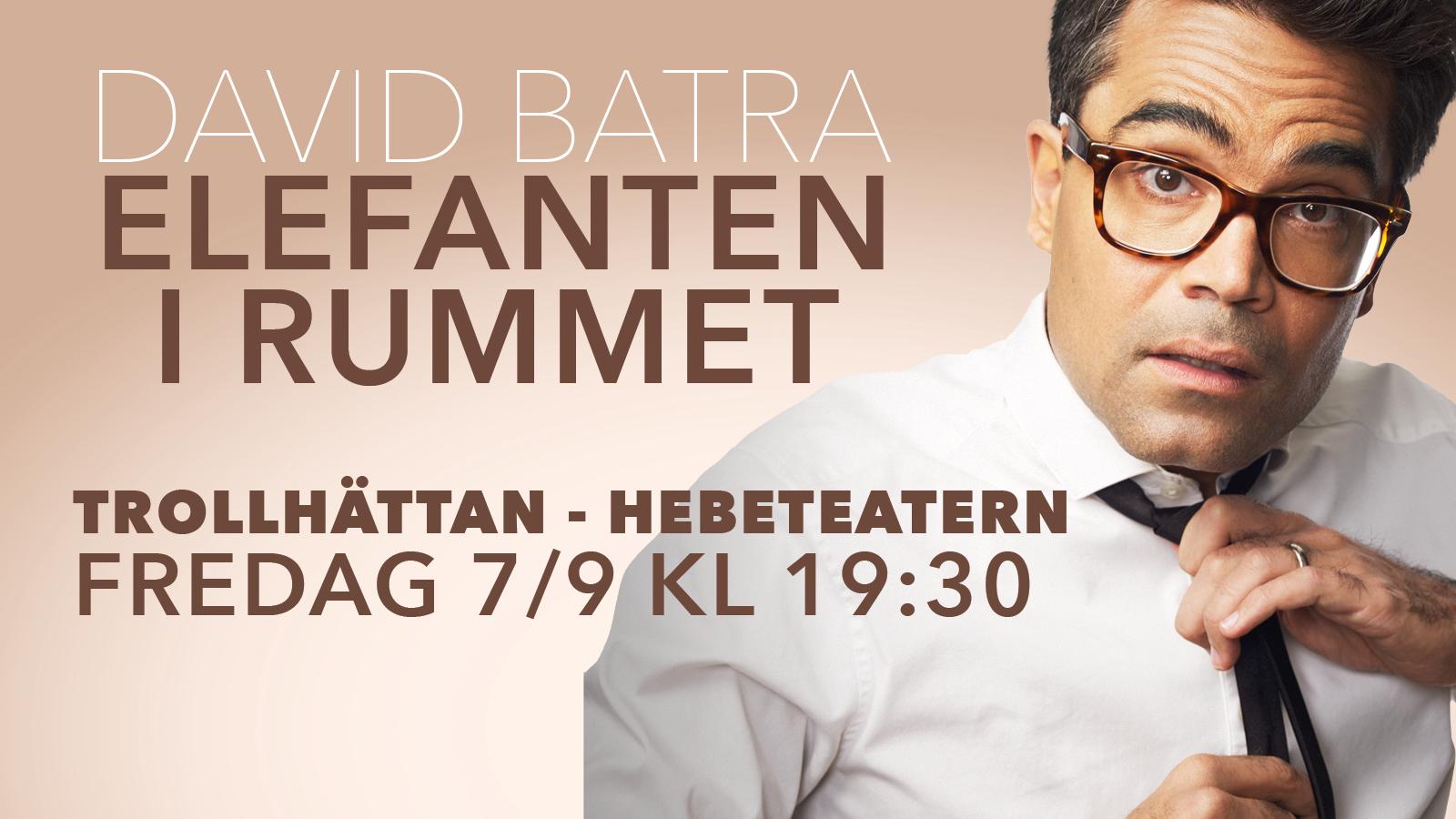 David Batra - Elefanten i rummet